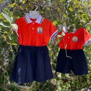 Đồng phục áo lớp AL03