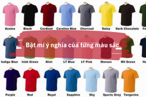 Goi y lua chon ky thuat in an dong phuc 2